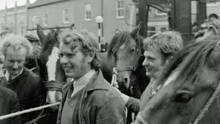 Buttevant Horse Fair Co Cork Ireland 1973 [upl. by Weiler617]