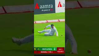 Good Fielding 👏shorts cricket ipl fielding t20 [upl. by Leciram]