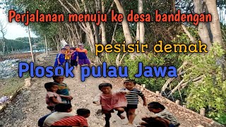 perjalanan menuju penduduk desa bandengan demak [upl. by Ande]