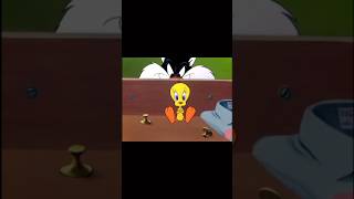 Sylvester the Cat Tweety Bird amp Spike the Dog ⭐️ “Room and Bird” Episode 1951 [upl. by Gnehp]