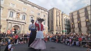 Un Cant als Gegants de la Barceloneta  Matí Geganter 2024 [upl. by Alcina]