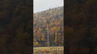 மலைக்கு மேல தீ எரியுற மாதிரி இருக்கும் இலைகள்germany goldenleaveyellowleaves hill straßberg [upl. by Wojcik]