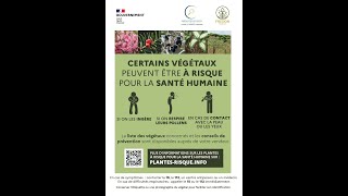 Plantesrisque  végétaux et santé humaine [upl. by Spatz994]