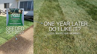 WaterSaver Rhizomatous Tall Fescue 1 Year Review [upl. by Avan]