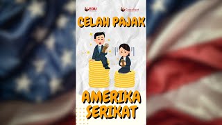 Celah Pajak Amerika Serikat 2022 Capai Rp10 Ribu Triliun❗ [upl. by Lynnworth]