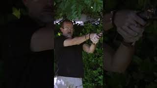 Firing a Flintlock Pistol in My Garden Adventure shorts hunting [upl. by Hsreh]