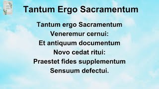 Tantum Ergo Sacramentum Song with Lyrics [upl. by Atteselrahc]