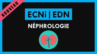 ECNi  ECN  EDN Conférence  Néphrologie [upl. by Crompton]