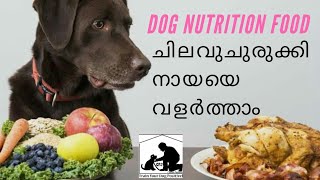 Dog Food Malayalam  dog diet plan malayalam [upl. by Zined]