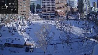 Live Cam Central Memorial Park Calgary Alberta [upl. by Freemon785]