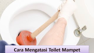 Cara Ampuh Mengatasi Toilet Mampet [upl. by Niro]