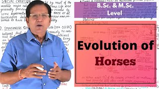 Evolution of Horses  BSc amp MSc Level [upl. by Mace]