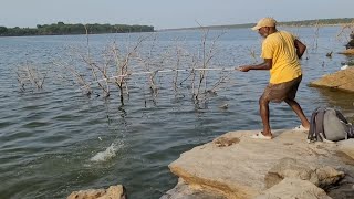 Best Hook fishing TechniqueFisherman Catching Black rohu fishes by Single HookUnique Fishing [upl. by Lorine]