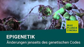 Epigenetik  Änderungen jenseits des genetischen Codes [upl. by Ashti]