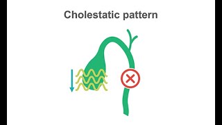 Identifying cholestasis on your liver labs panel [upl. by Ylus]