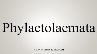 How To Say Phylactolaemata [upl. by Stickney]