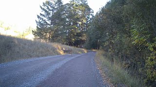 Country Gravel Cycling Traffic Jam Gravel Cycling [upl. by Fredia399]