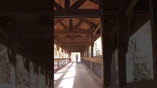 Discovering covered bridges on the Congaree riverwalk chill biking fall [upl. by Naval261]