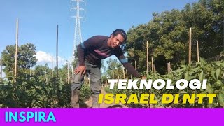 Kisah Yance Maring Kembangkan Pertanian Usai Belajar di Israel [upl. by Enyawud946]