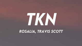 TKN  Rosalia Travis Scott Letra [upl. by Nagah585]