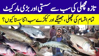 Biggest Fish Market in Karachi  Pakistans Biggest Fish Market Fishery  Fishery Wholesale Market [upl. by Lassiter656]