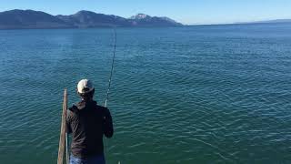 Fishing Croatia leerfish fishing [upl. by Ku442]