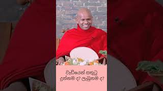 වැඩියෙන් සතුටු දුන්නමද 💫ලැබුනමද💫bana banakatha dharmadeshana welimadasaddhaseelathero [upl. by Endora]