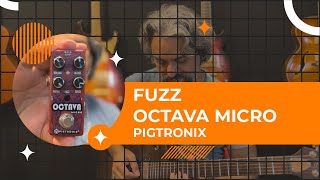 Pedal Divertido Pigtronix  Octava Micro  Fuzz Octave [upl. by Fokos]