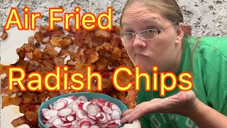 KETO Air Fried Radish Chips  KETO SNACKS [upl. by Hilton907]