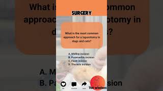 Vet Quiz Most Common Approach for a Laparotomy [upl. by Eeniffar]