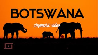 Visit Botswana  Cinematic Travel Video [upl. by Ardnuhsal693]