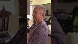 Cesar Millan Training Jealous Dogs dogwhisperer dogs [upl. by Charissa654]