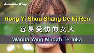 Rong Yi Shou Shang De Ni Ren  容易受傷的女人  雷婷 Lei Ting Wanita Yang Mudah Terluka [upl. by Eerual]