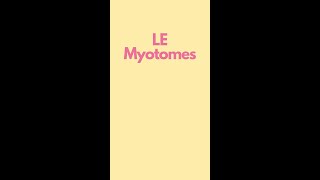 Myotomes of the Lower Extremity Visual Mnemonics [upl. by Atteuqcaj]