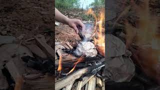 Grilling eggs in aluminum foil bushcraft [upl. by Fidole]