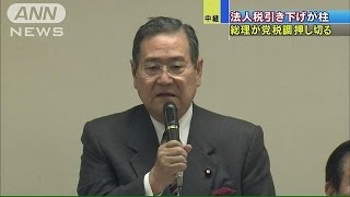 「与党税制改正大綱」決定へ 法人税引き下げが柱141230 [upl. by Orten]