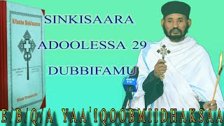 Sinkisaara Adoolessa 29 Dubbifamu Qoomos Abbaa Yaaiqob Miidhaksaa [upl. by Bodrogi641]