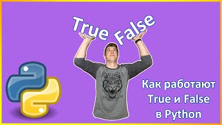 Как работают True и False в Python [upl. by Arda453]