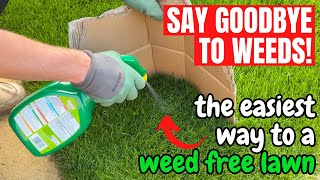 How to kill WEEDS in your LAWN the simple way [upl. by Herold]