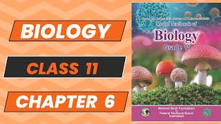 Biology 11 Chapter 6 Prokaryotes Topic 7 New Book NBF 2024 Complete Explanation FBISE [upl. by Rawdan]