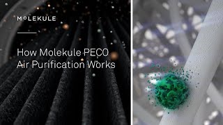 How Molekule PECO Air Purification Works [upl. by Polish277]