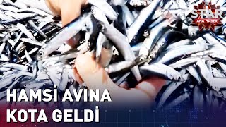 Hamsi Avına Kota Geldi  Star Ana Haber [upl. by Comstock]