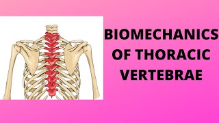 BIOMECHANICS OF THORACIC VERTEBRA [upl. by Trellas]