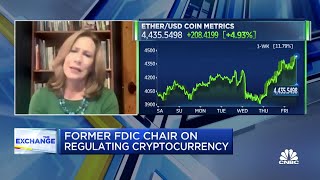 Cryptocurrency is too risky for banks FDIC chair Sheila Bair [upl. by Newel686]