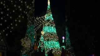 Christmas Tree Light Show at Busch Gardens in Williamsburg Virginia [upl. by Ailbert]