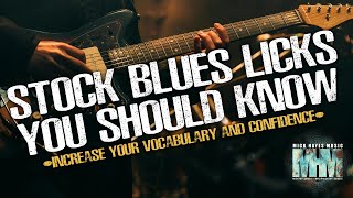 STOCK BLUES LICKS YOU SHOULD KNOW  GUITAR LESSON [upl. by Sollars]