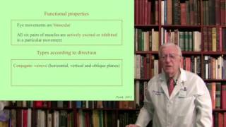 Lecture 6 The Oculomotor System III Structure Function and Dysfunction [upl. by Rivalee]