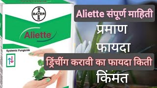 Aliette fungicide in marathi  aliette bayer aliette संपूर्ण माहिती  ड्रिंचींग फायदा [upl. by Gilligan914]