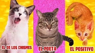 TIPOS de GatoTUBERS Pte 2 🐈  Adry y sus DivertiCats [upl. by Aysahc167]