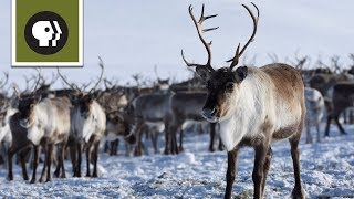 Baby Reindeers RealLife Martha Speaks Out  This Morning [upl. by Eixor]